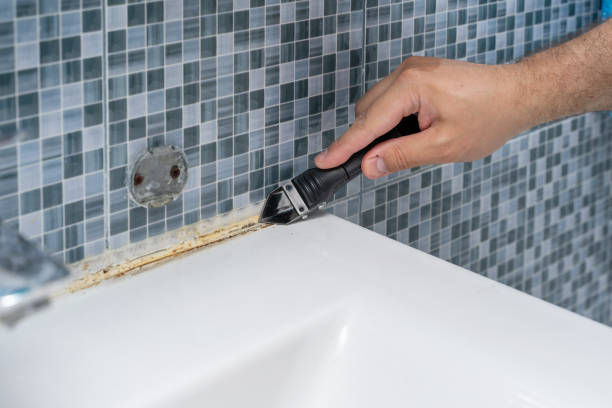Best Preventive Mold Services in North Wantagh, NY